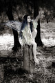 Reaching