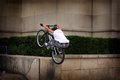 The Cyclist