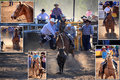 Rodeo-Horse-2.jpg
