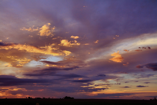 Purple Skies