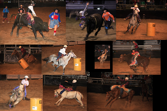 The Rodeo