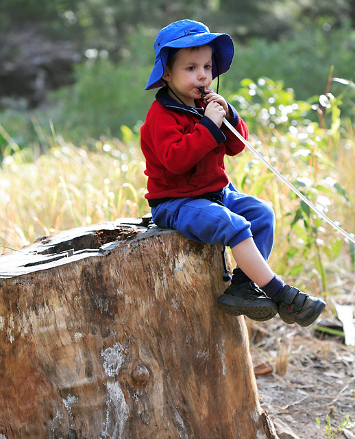 Cai in Wonderland