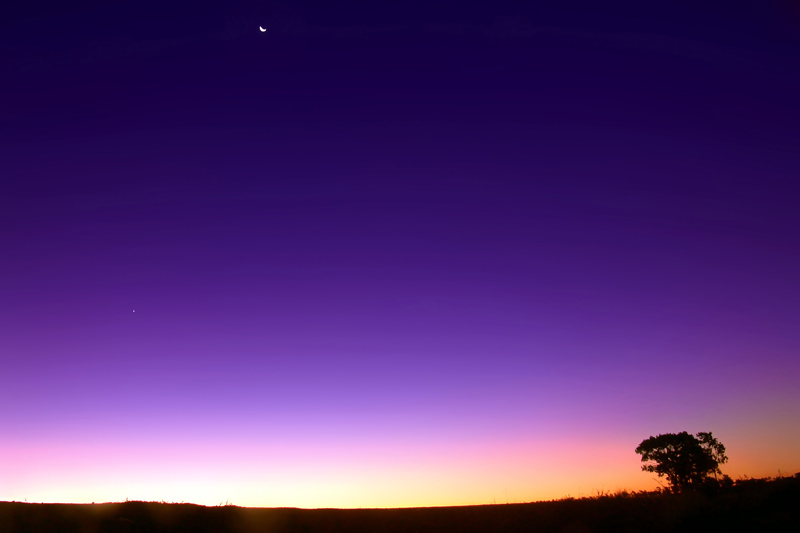 Star Bright