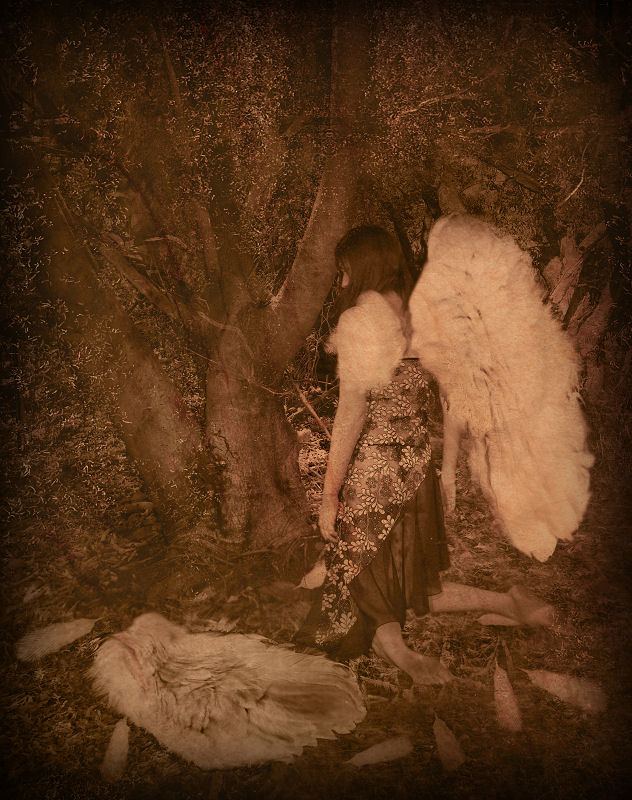 Fallen Angel