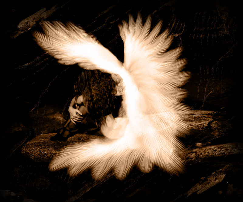  Little Angel lost