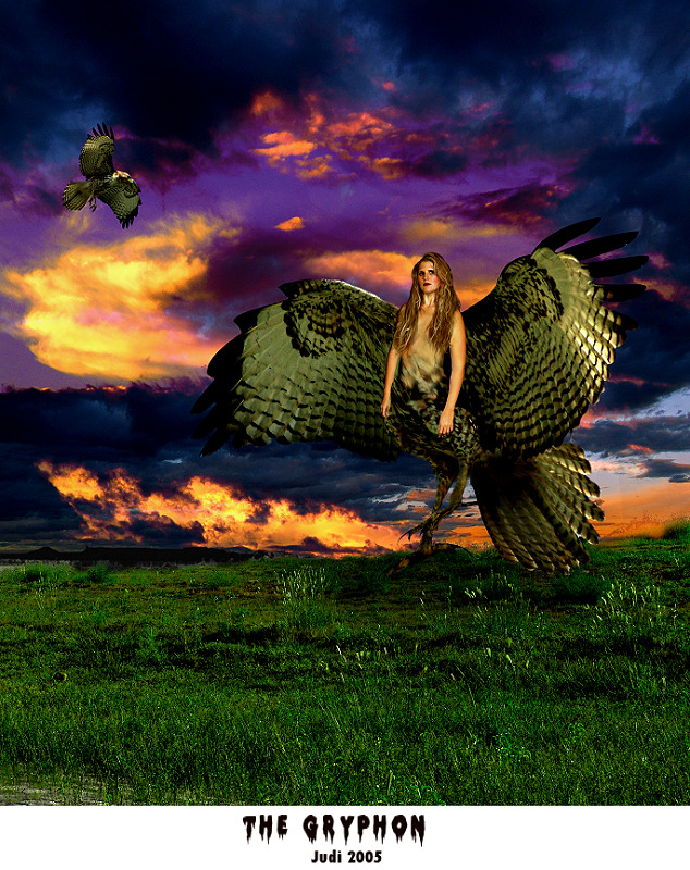 The Gryphon