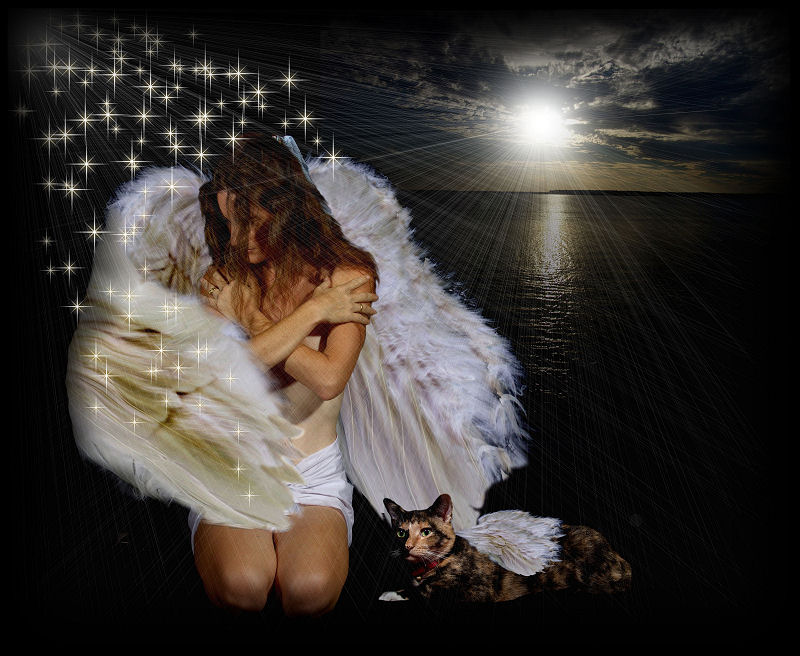 Your wings await