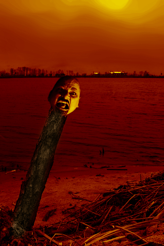 Is this Art or what?