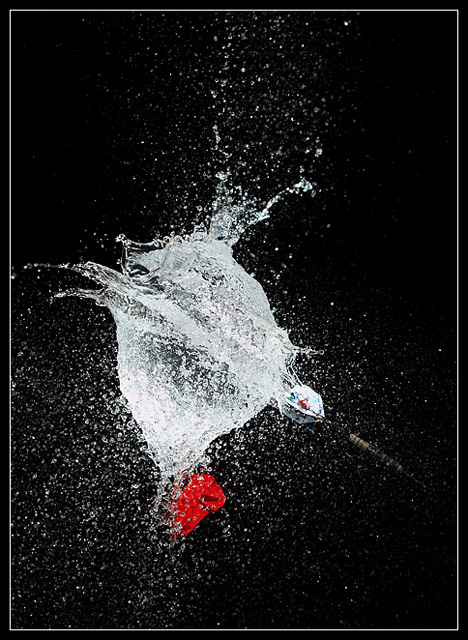 The Splash