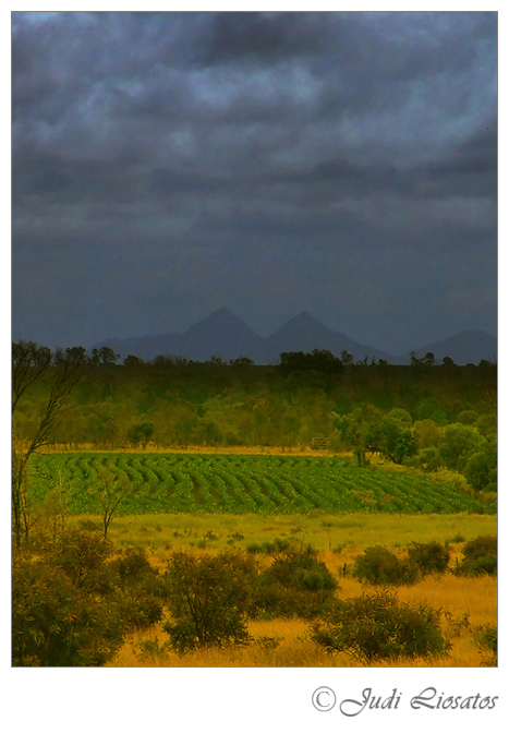Country Farming