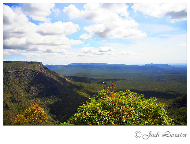 Blackdown Tablelands