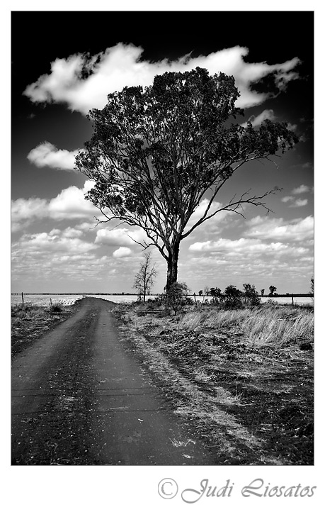 On The Right Track