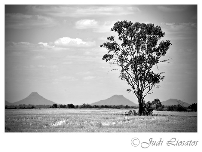 Rural Days