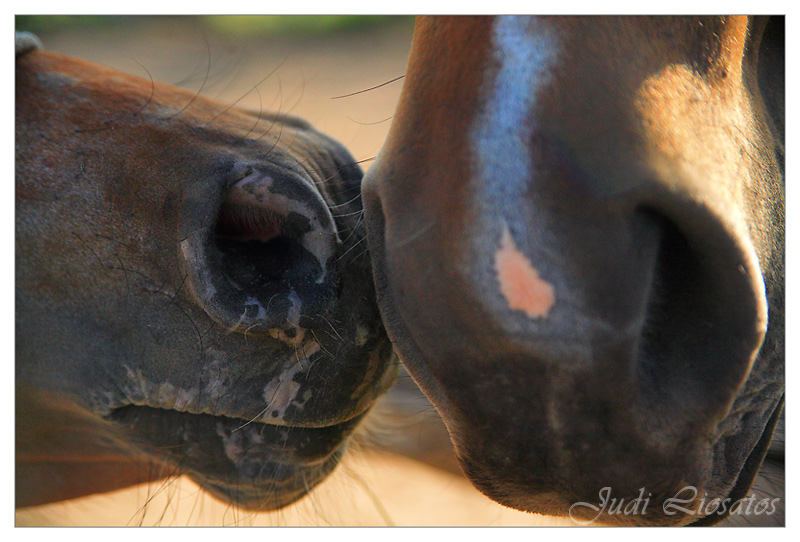 Just You & Me!