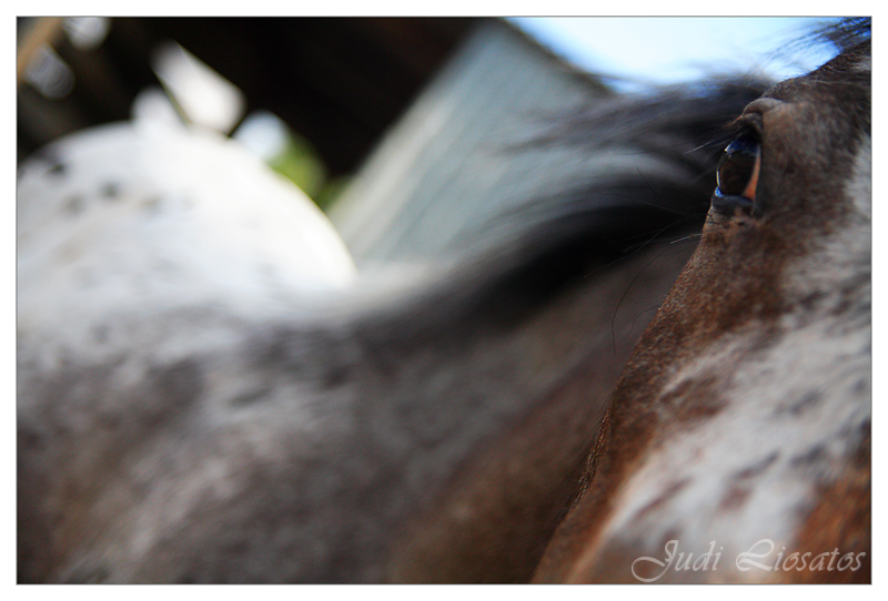 Up Close!