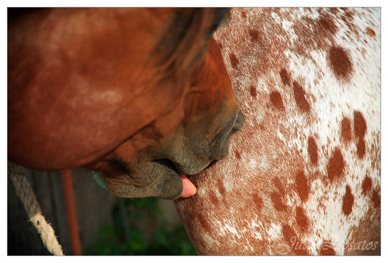 Mmmmm...you do taste like strawberries!