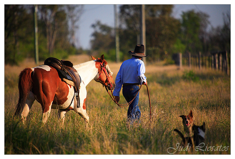 The Drover - Early Morning