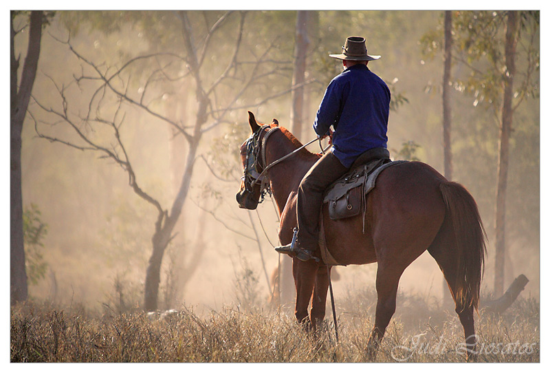 The Drover - Dusty