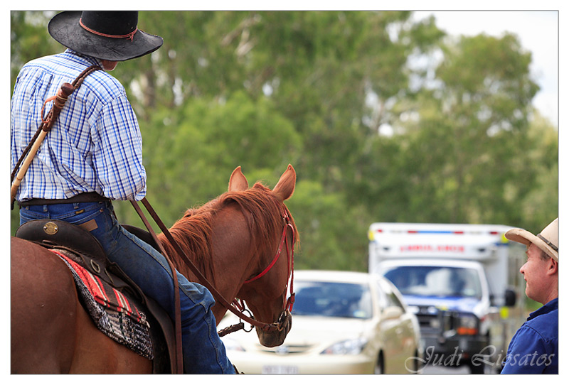 The Drover - Traffic Jam