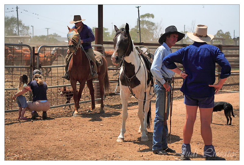 The Drover - Chatting with authorities