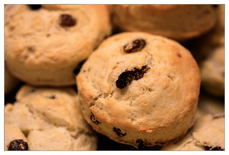Fresh Out Of The Oven