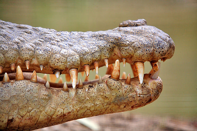 Smile!!
