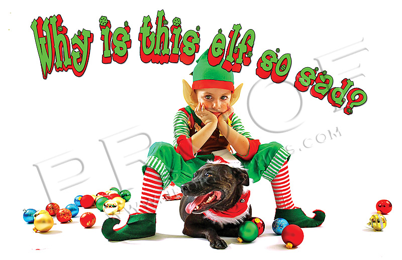 Xmas 2007 Card Front