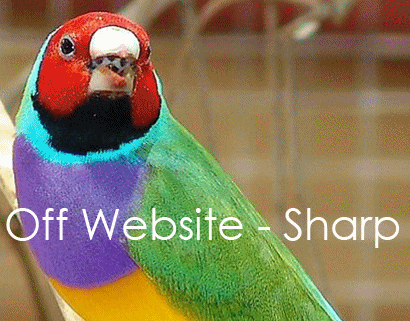 Gouldian Deterioration Example 2.gif