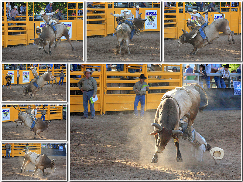 Rodeo-1.jpg