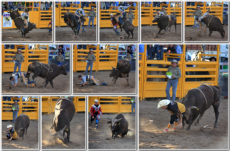 Rodeo-2.jpg