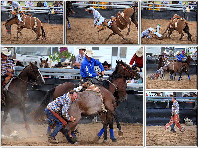 Rodeo-5.jpg