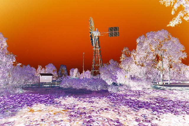 IMG_0721-Invert_640.jpg