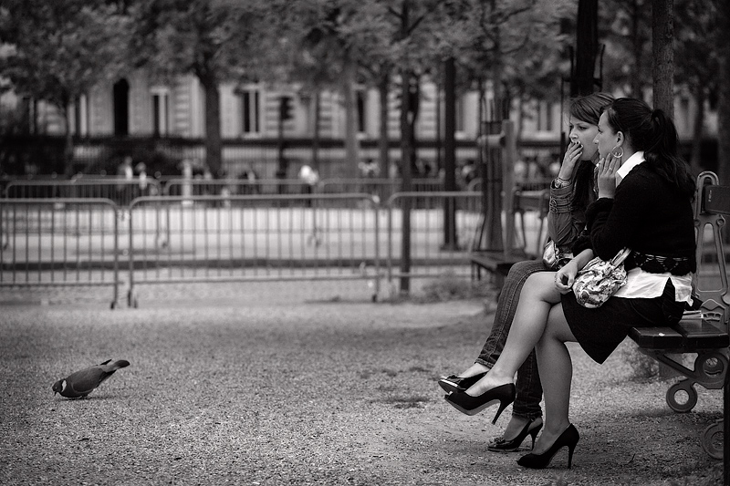 French Girls - BW