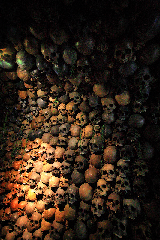 Human Skull Wall