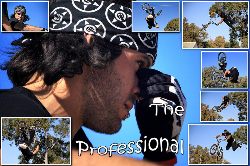 The Professional 1