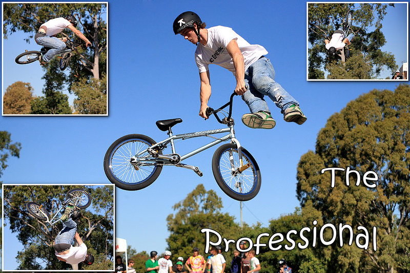 The Professional 2