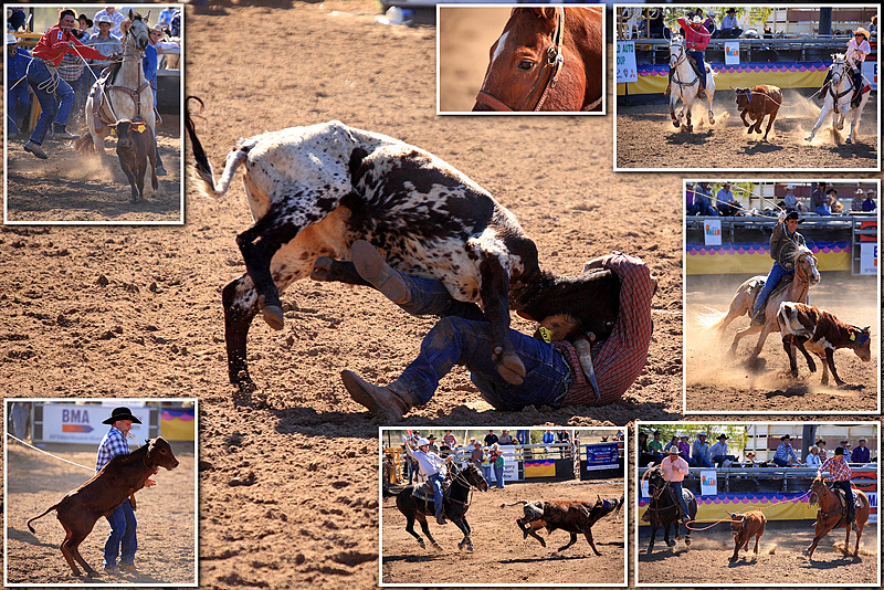 Rodeo-Horse-1.jpg