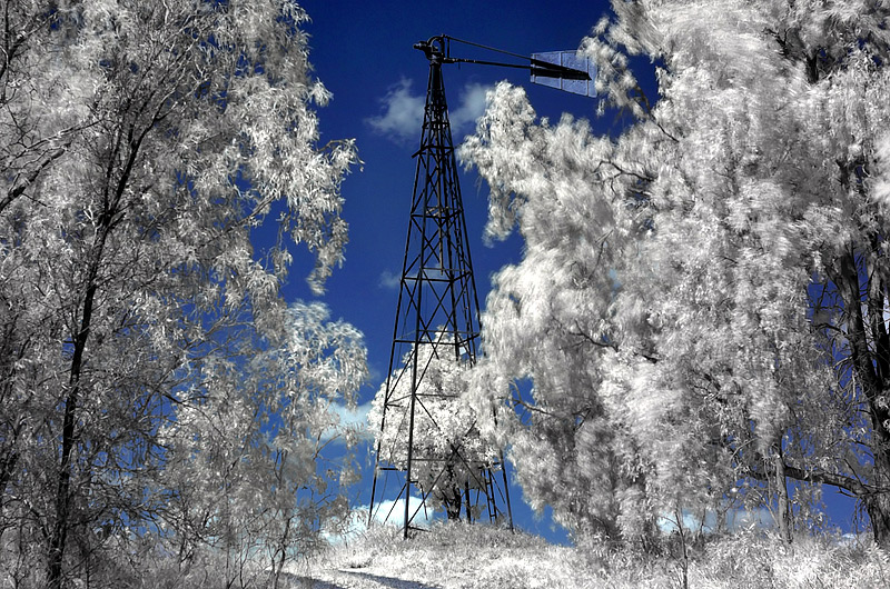 Day 4 - Aussie Winterland