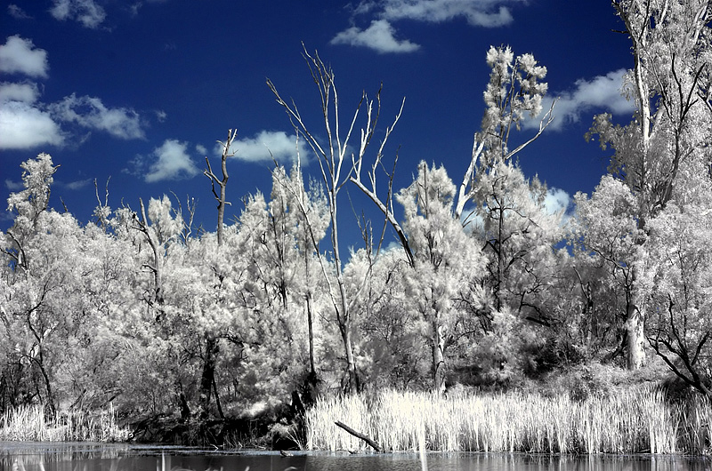 Day 5 - The Waterhole