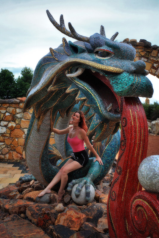 My Friend the Dragon!