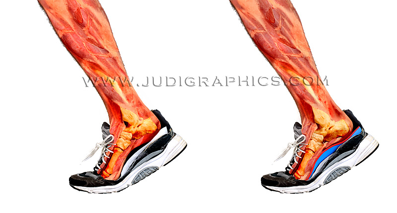 Shoe.jpg