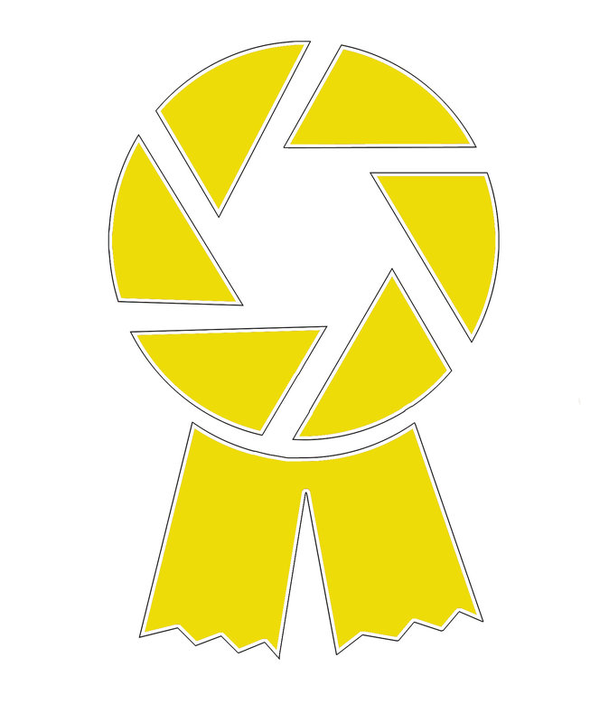 DPC-Ribbon Yellow.jpg