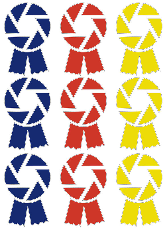 DPC-Ribbon Blue Red Yellow.jpg