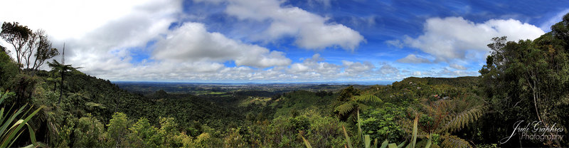 Rose Hellaby Lookout - Auckland