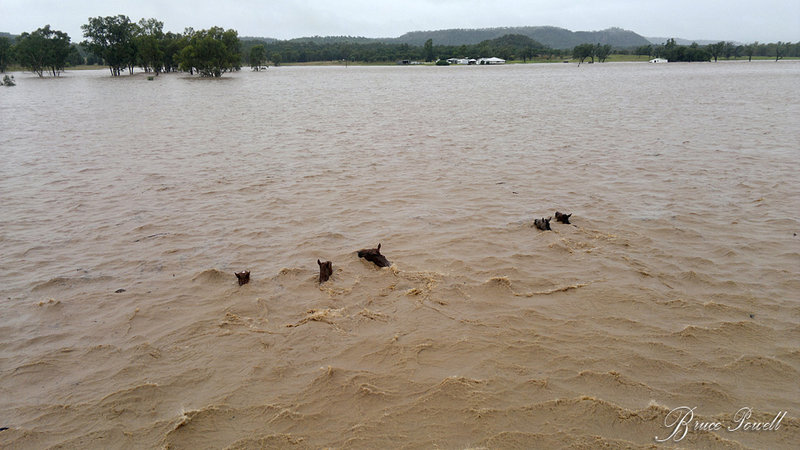 My favourite of all the flood images