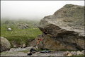 Switzerland boulders 7c