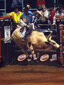 PBR 1