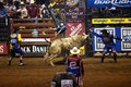 PBR 6
