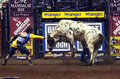 PBR 9
