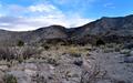 Blue-skied Desert